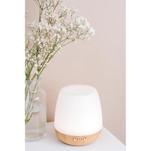 Load image into Gallery viewer, Essential Oils | Bliss Mist Diffuser
