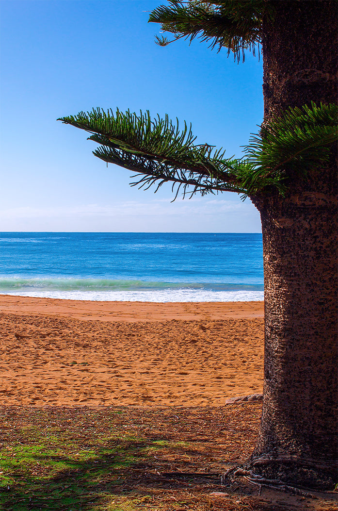 Palm Beach | Sydney | Ocean | Sand | Landscape Photography | Wall Art